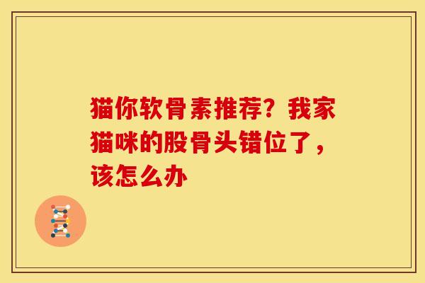 猫你软骨素推荐？我家猫咪的股骨头错位了，该怎么办