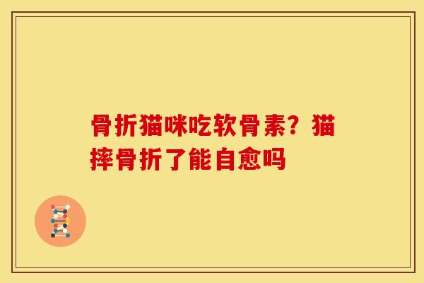 骨折猫咪吃软骨素？猫摔骨折了能自愈吗