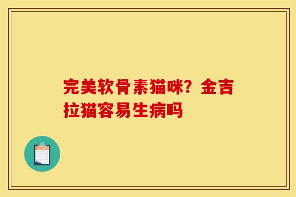 完美软骨素猫咪？金吉拉猫容易生病吗