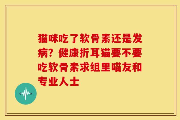 猫咪吃了软骨素还是发病？健康折耳猫要不要吃软骨素求组里喵友和专业人士