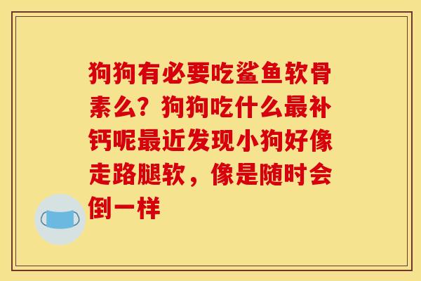 狗狗有必要吃鲨鱼软骨素么？狗狗吃什么最补钙呢最近发现小狗好像走路腿软，像是随时会倒一样