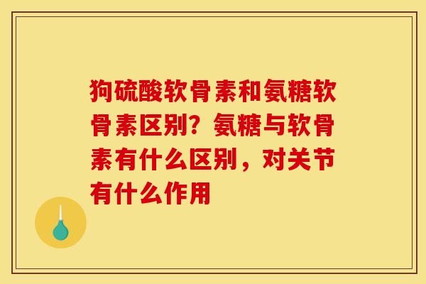 狗硫酸软骨素和氨糖软骨素区别？氨糖与软骨素有什么区别，对关节有什么作用