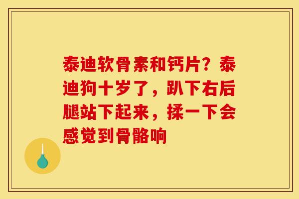 泰迪软骨素和钙片?泰迪狗十岁了,趴下右后腿站下起来,揉一下会感觉到骨骼响 泰迪软骨素和钙片?泰迪狗十岁了,趴下右后腿站下起来,揉一下会感觉到骨骼响