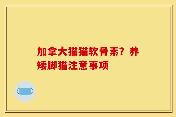 加拿大猫猫软骨素？养矮脚猫注意事项