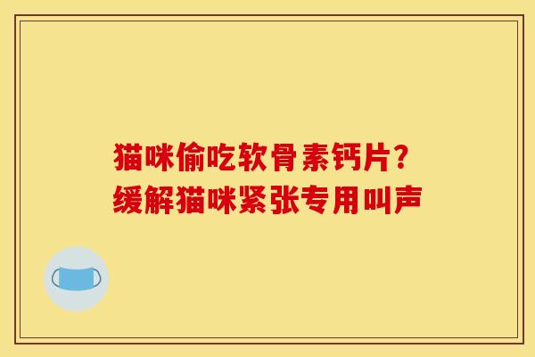 猫咪偷吃软骨素钙片？缓解猫咪紧张专用叫声