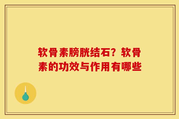 软骨素膀胱结石？软骨素的功效与作用有哪些