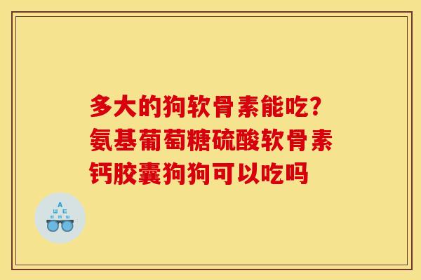 多大的狗软骨素能吃？氨基葡萄糖硫酸软骨素钙胶囊狗狗可以吃吗