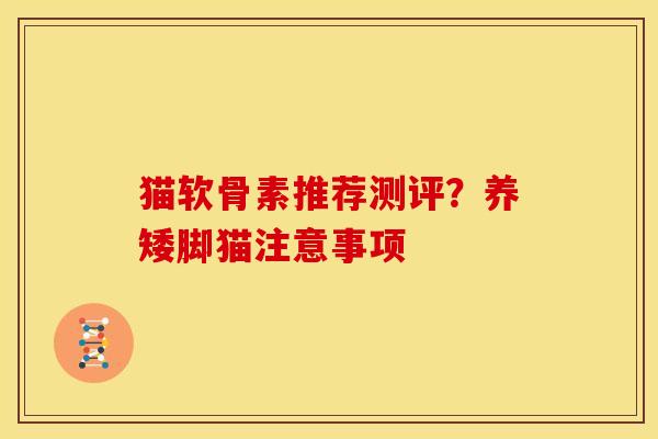 猫软骨素推荐测评？养矮脚猫注意事项