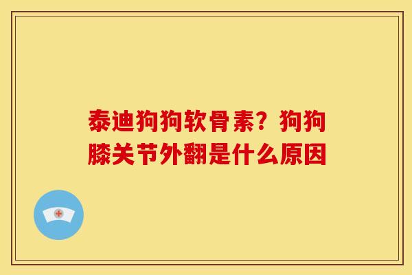 泰迪狗狗软骨素？狗狗膝关节外翻是什么原因