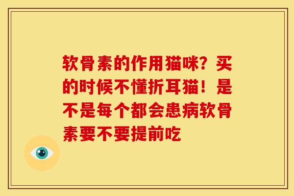 软骨素的作用猫咪？买的时候不懂折耳猫！是不是每个都会患病软骨素要不要提前吃