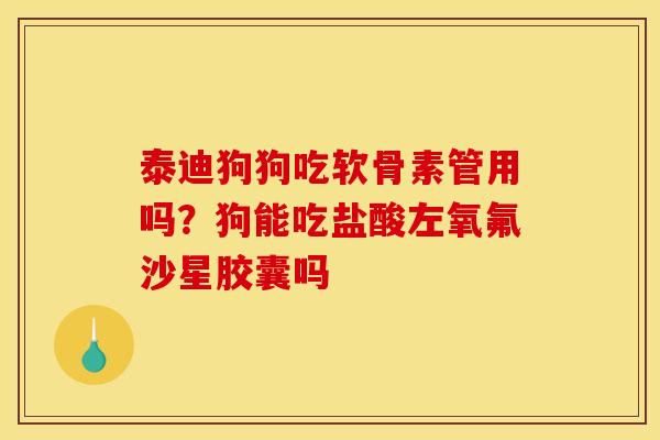 泰迪狗狗吃软骨素管用吗？狗能吃盐酸左氧氟沙星胶囊吗