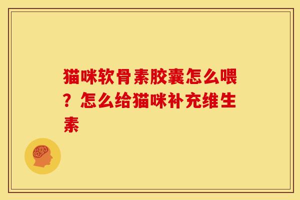 猫咪软骨素胶囊怎么喂？怎么给猫咪补充维生素