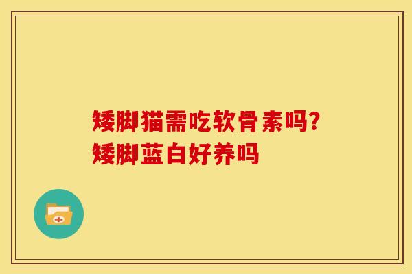 矮脚猫需吃软骨素吗？矮脚蓝白好养吗