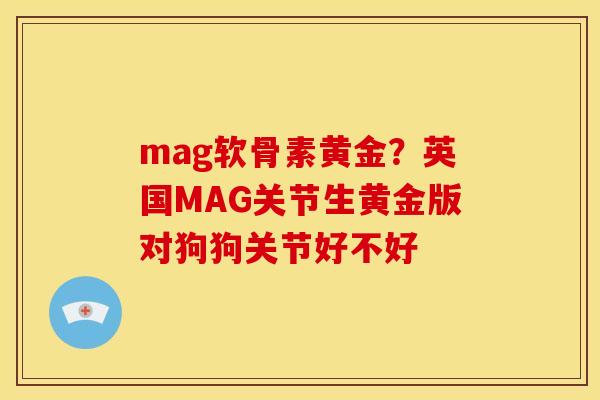 mag软骨素黄金？英国MAG关节生黄金版对狗狗关节好不好