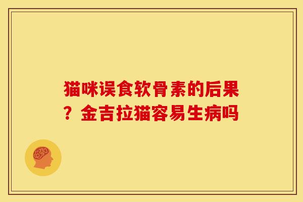 猫咪误食软骨素的后果？金吉拉猫容易生病吗