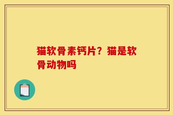 猫软骨素钙片？猫是软骨动物吗