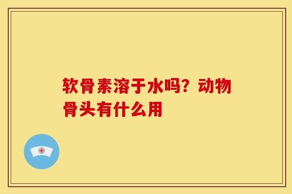 软骨素溶于水吗？动物骨头有什么用