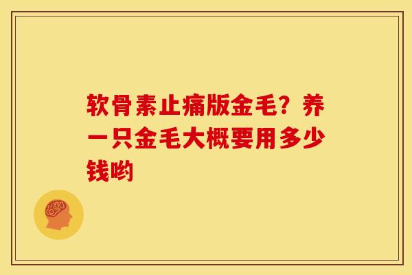软骨素止痛版金毛？养一只金毛大概要用多少钱哟