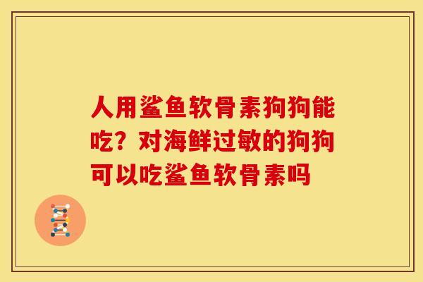 人用鲨鱼软骨素狗狗能吃？对海鲜过敏的狗狗可以吃鲨鱼软骨素吗