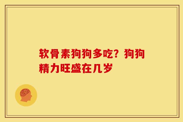 软骨素狗狗多吃？狗狗精力旺盛在几岁