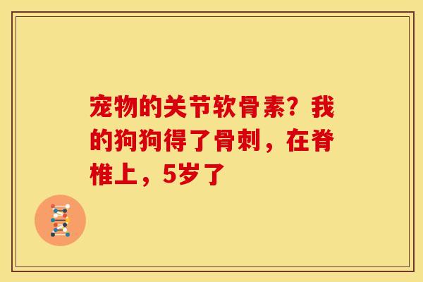 宠物的关节软骨素？我的狗狗得了骨刺，在脊椎上，5岁了