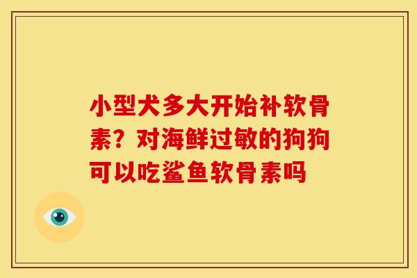 小型犬多大开始补软骨素？对海鲜过敏的狗狗可以吃鲨鱼软骨素吗