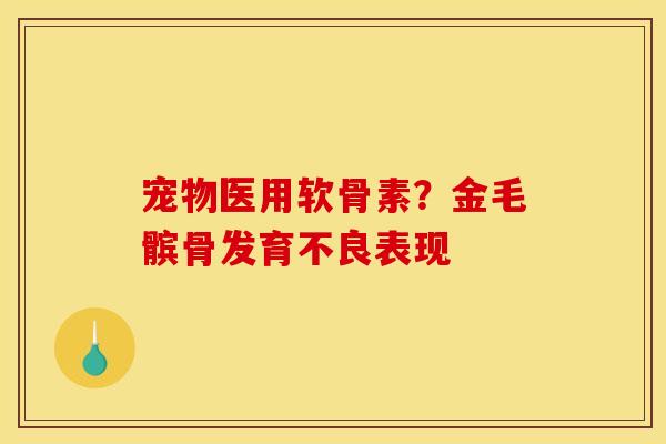 宠物医用软骨素？金毛髌骨发育不良表现
