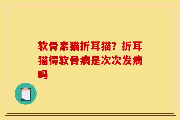 软骨素猫折耳猫？折耳猫得软骨是次次发吗