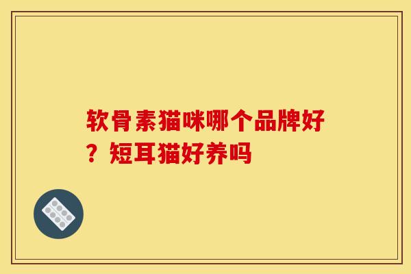 软骨素猫咪哪个品牌好？短耳猫好养吗