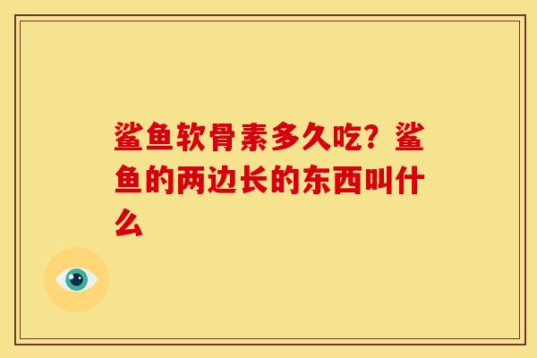 鲨鱼软骨素多久吃？鲨鱼的两边长的东西叫什么