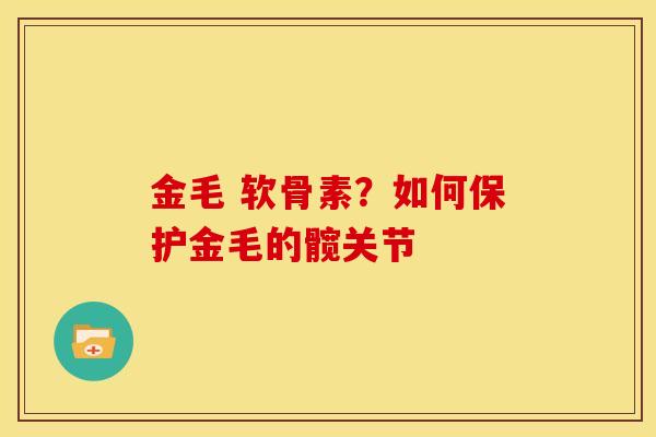 金毛 软骨素？如何保护金毛的髋关节
