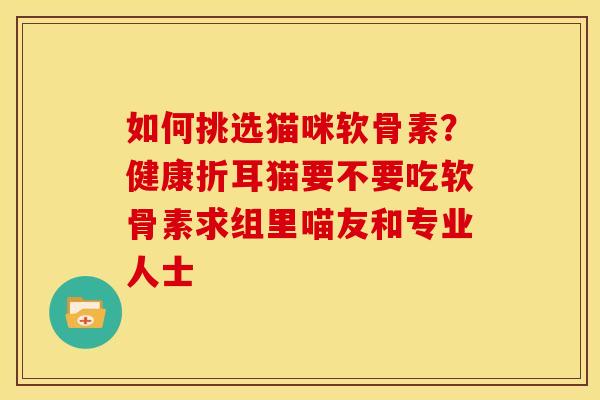 如何挑选猫咪软骨素？健康折耳猫要不要吃软骨素求组里喵友和专业人士