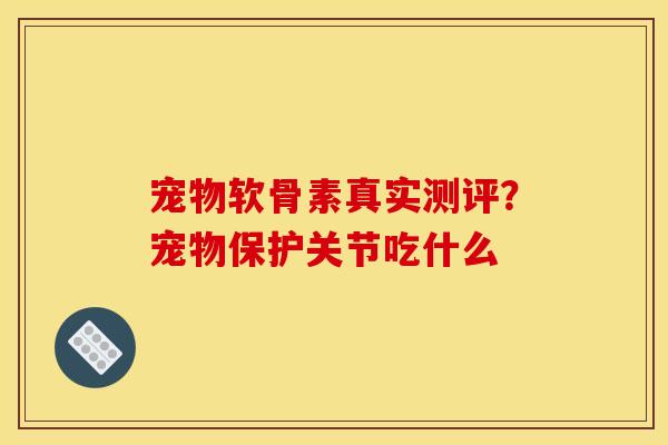 宠物软骨素真实测评？宠物保护关节吃什么