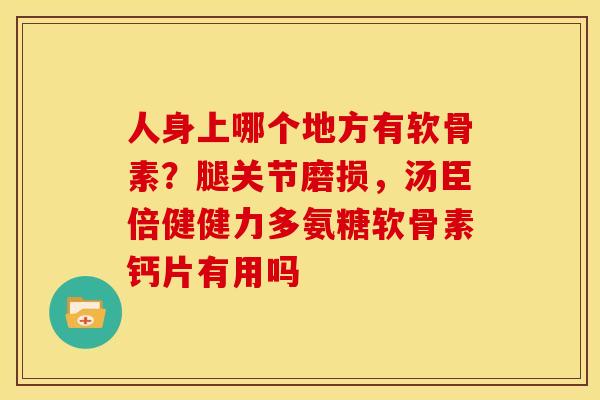 人身上哪个地方有软骨素？腿关节磨损，汤臣倍健健力多氨糖软骨素钙片有用吗