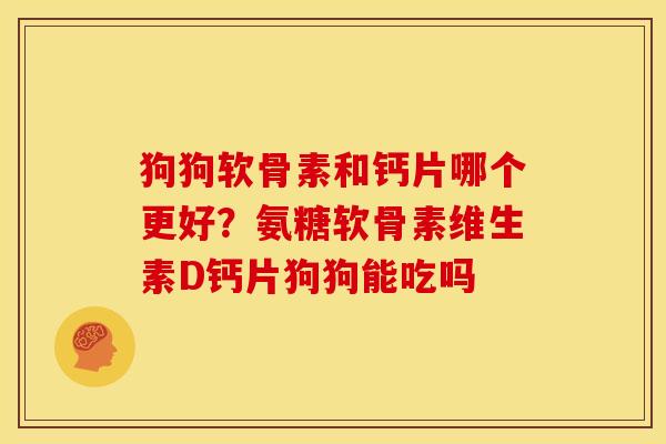 狗狗软骨素和钙片哪个更好？氨糖软骨素维生素D钙片狗狗能吃吗