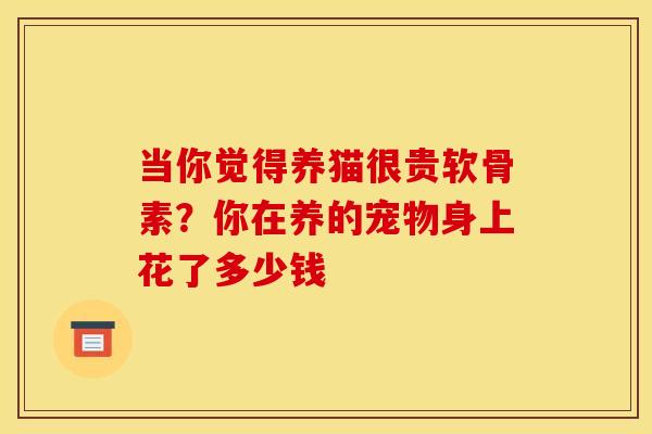 当你觉得养猫很贵软骨素？你在养的宠物身上花了多少钱