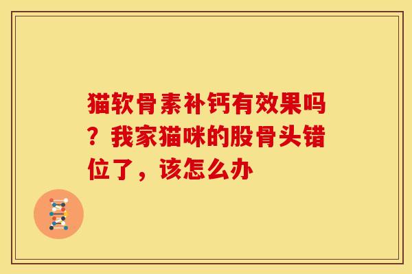 猫软骨素补钙有效果吗？我家猫咪的股骨头错位了，该怎么办