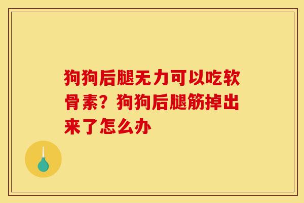 狗狗后腿无力可以吃软骨素？狗狗后腿筋掉出来了怎么办