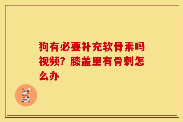 狗有必要补充软骨素吗视频？膝盖里有骨刺怎么办