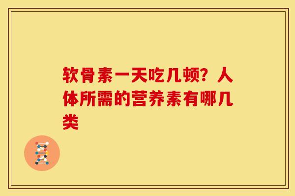 软骨素一天吃几顿？人体所需的营养素有哪几类