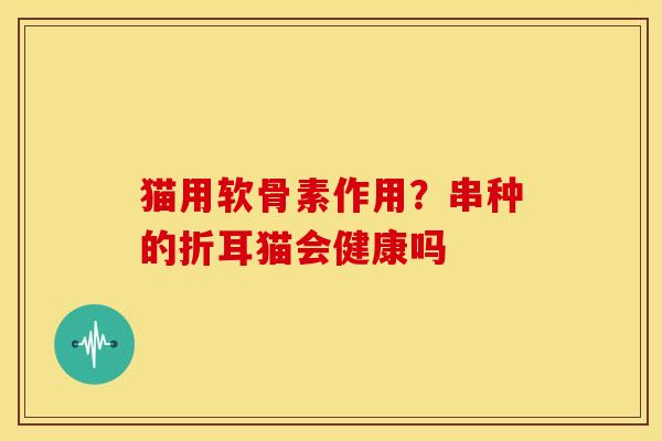 猫用软骨素作用?串种的折耳猫会健康吗 猫用软骨素作用?串种的折耳猫会健康吗