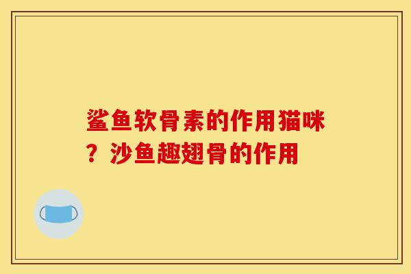 鲨鱼软骨素的作用猫咪？沙鱼趣翅骨的作用