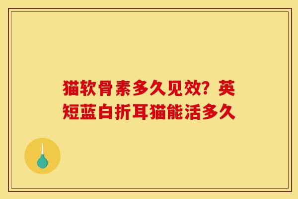 猫软骨素多久见效？英短蓝白折耳猫能活多久