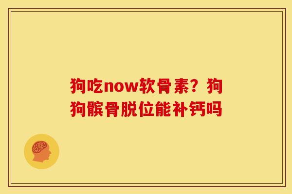 狗吃now软骨素？狗狗髌骨脱位能补钙吗