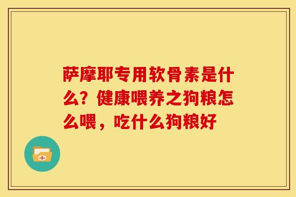 萨摩耶专用软骨素是什么？健康喂养之狗粮怎么喂，吃什么狗粮好