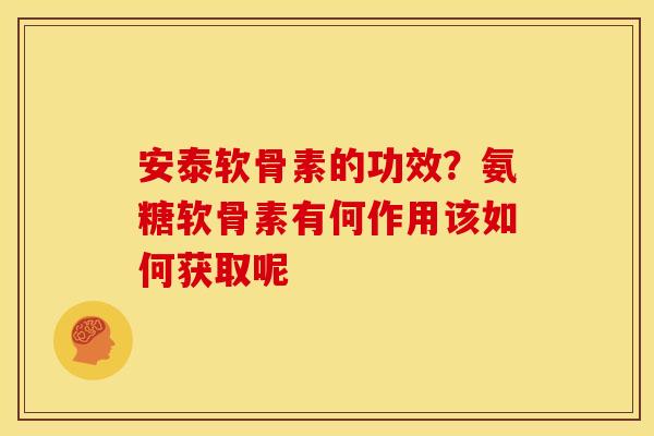安泰软骨素的功效？氨糖软骨素有何作用该如何获取呢