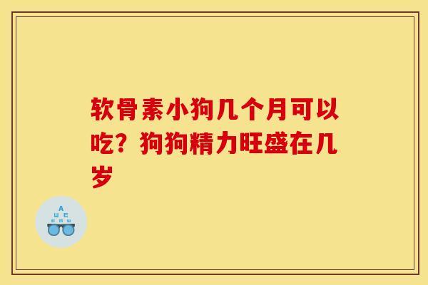 软骨素小狗几个月可以吃？狗狗精力旺盛在几岁
