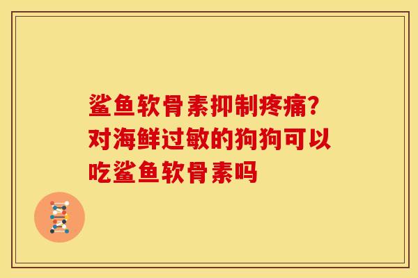 鲨鱼软骨素抑制疼痛？对海鲜过敏的狗狗可以吃鲨鱼软骨素吗