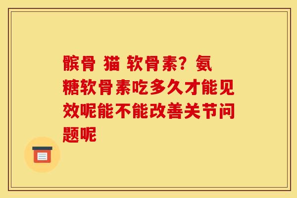 髌骨 猫 软骨素？氨糖软骨素吃多久才能见效呢能不能改善关节问题呢