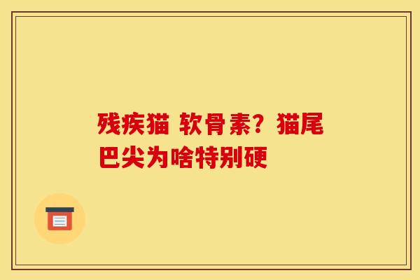 残疾猫 软骨素?猫尾巴尖为啥特别硬 残疾猫 软骨素?猫尾巴尖为啥特别硬